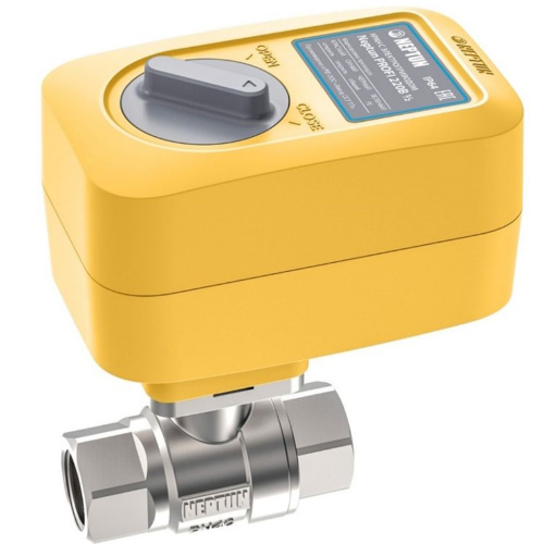 Neptun PROFI 220В 1"